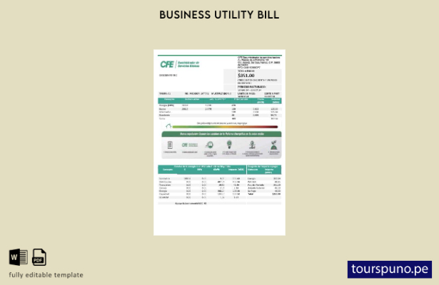 listo para imprimir plantilla de factura de servicios públicos de CFE de Electri